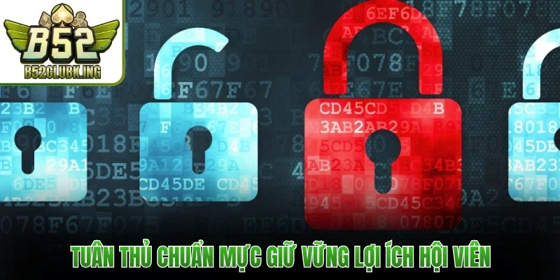 Điều Khoản Sử Dụng 3 Tuân thủ chuẩn mực giữ vững lợi ích hội viên